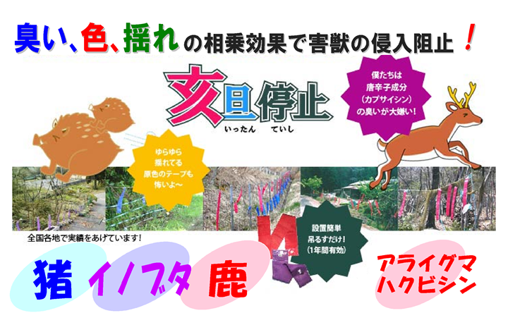 亥旦停止 猪豚用20枚 【イノブタ対策 イノブタ撃退 いったんていし イノブタ被害 カプサイシン 唐辛子 忌避剤 猪豚対策 作物 侵入 防止】