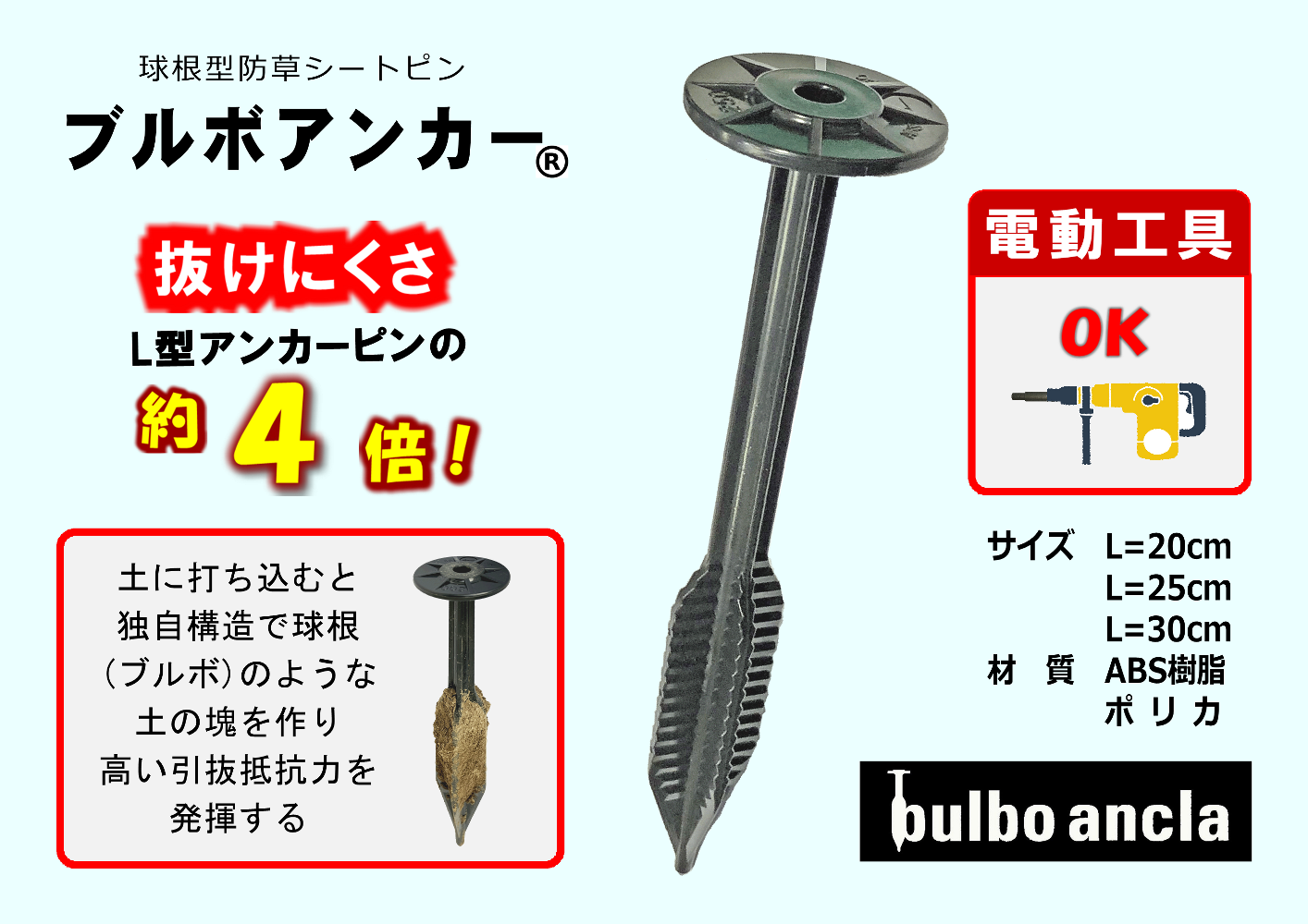 ブルボアンカーの特徴