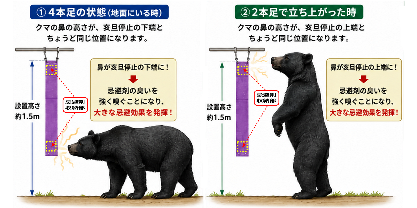 クマ忌避シート「亥旦停止（いったんていし）クマ用」クマの鼻の高さを考慮した設計