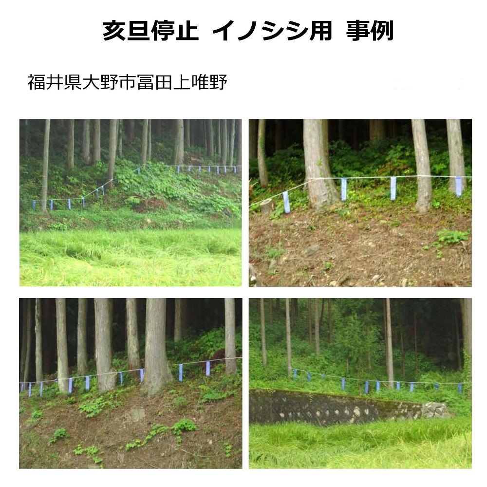 イノシシ忌避剤「亥旦停止イノシシ用事例　山林