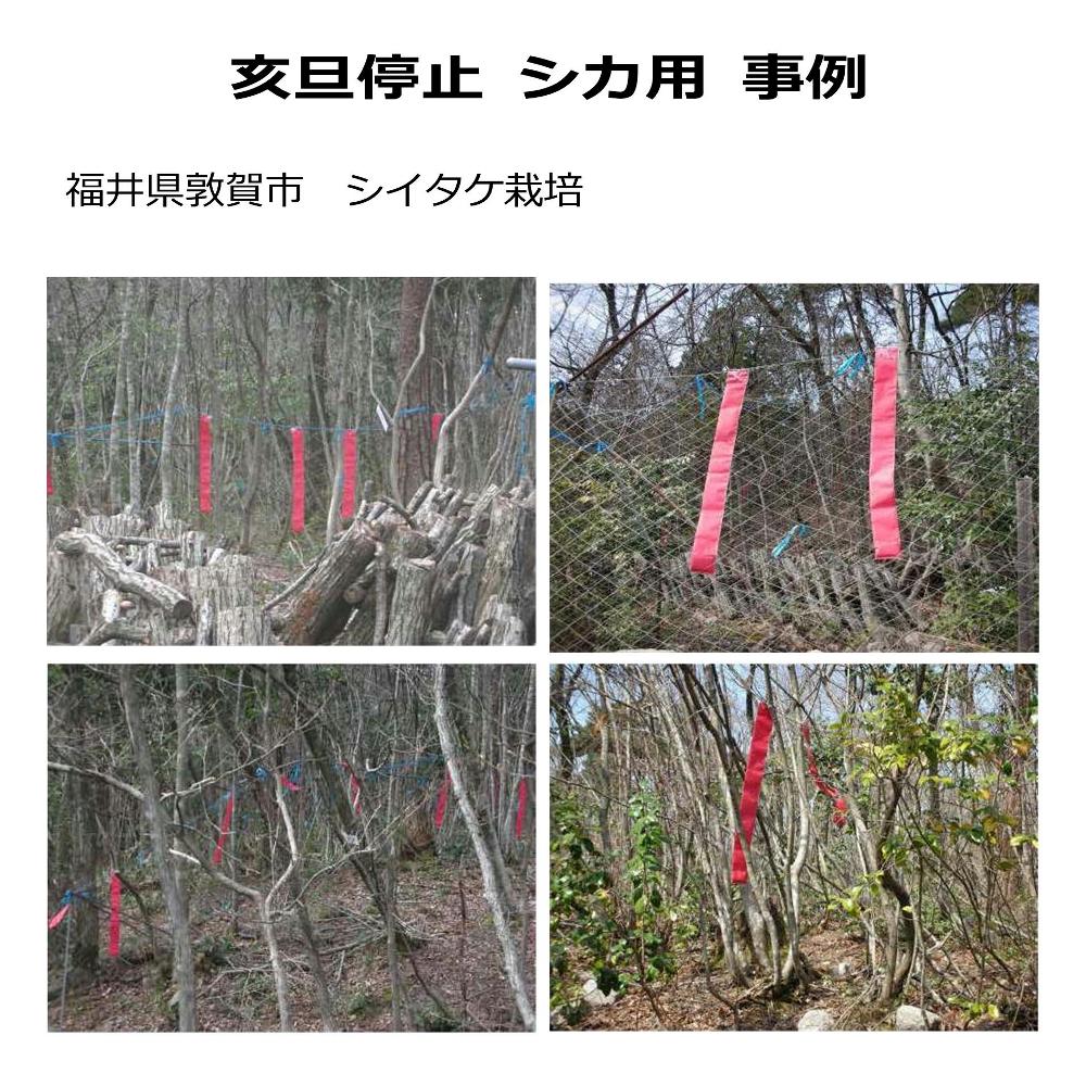 シカ忌避剤「亥旦停止シカ用事例　シイタケ栽培