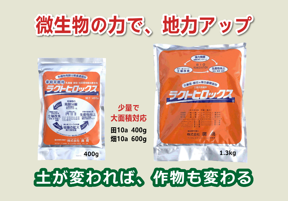 デオキリボ核酸様 リクエスト 6点 まとめ商品 核酸ラクトザイムEX | 白鳳新薬株式会社 ネットショップ