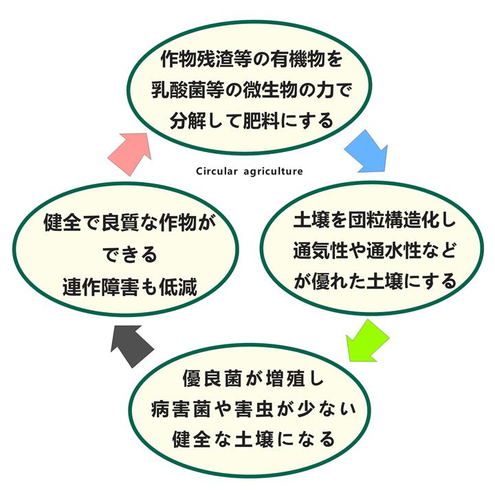 微生物土壌改良剤 ラクトヒロックス 有機物を強力に発酵分解し健全で良質な作物ができる土壌に改良