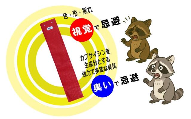 臭いと視覚でアライグマ・ハクビシンを忌避