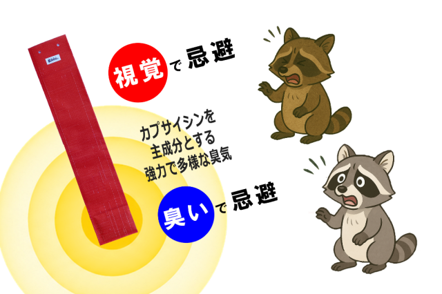 臭いと視覚刺激でアライグマ・ハクビシンを忌避