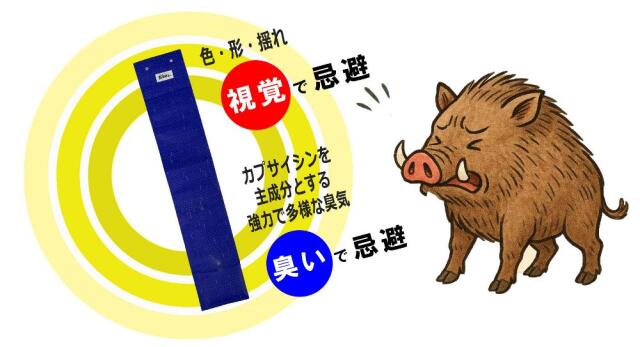 臭いと視覚でイノシシを忌避