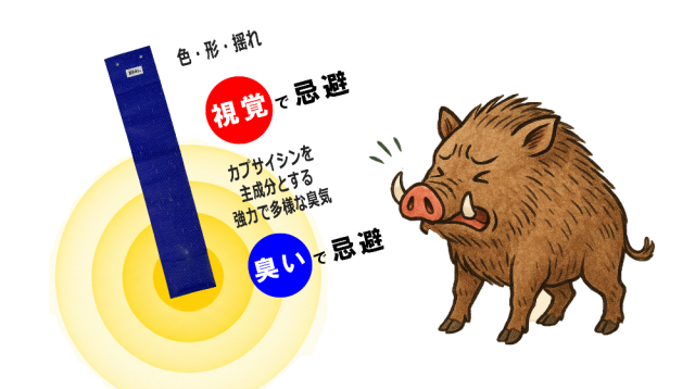 臭いと視覚刺激でイノシシを忌避