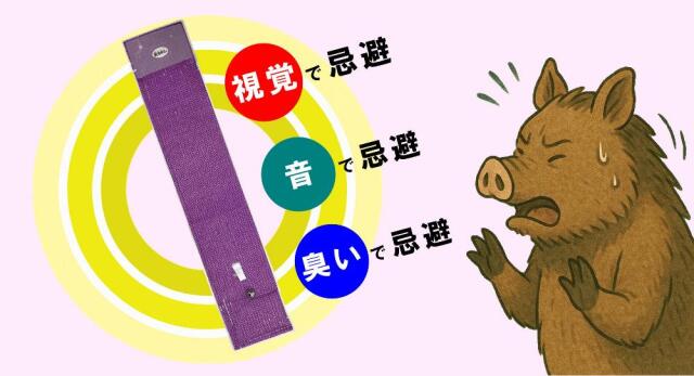 臭いと視覚と音イノブタを忌避