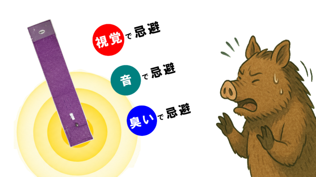 臭いと視覚と音イノブタを忌避