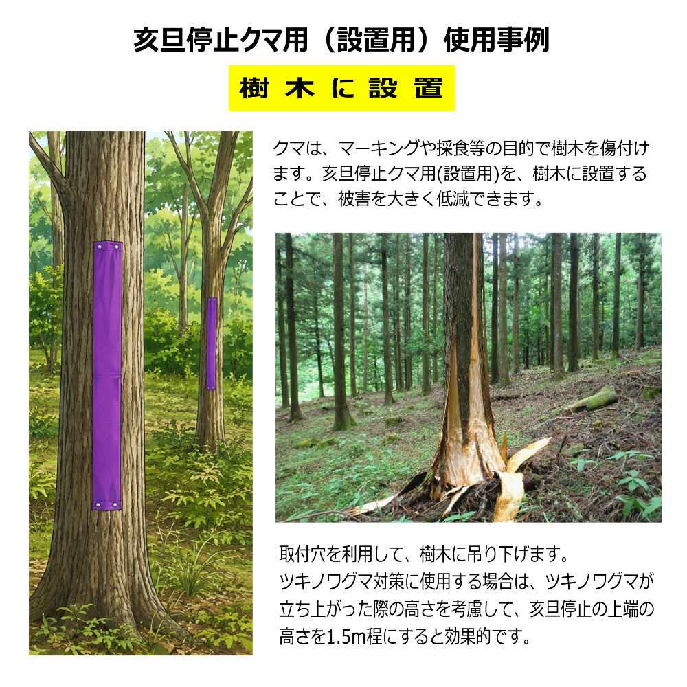 クマ忌避剤　亥旦停止クマ用設置方法　樹木に設置
