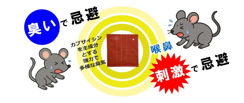 チュー在禁止　臭いと視覚で忌避