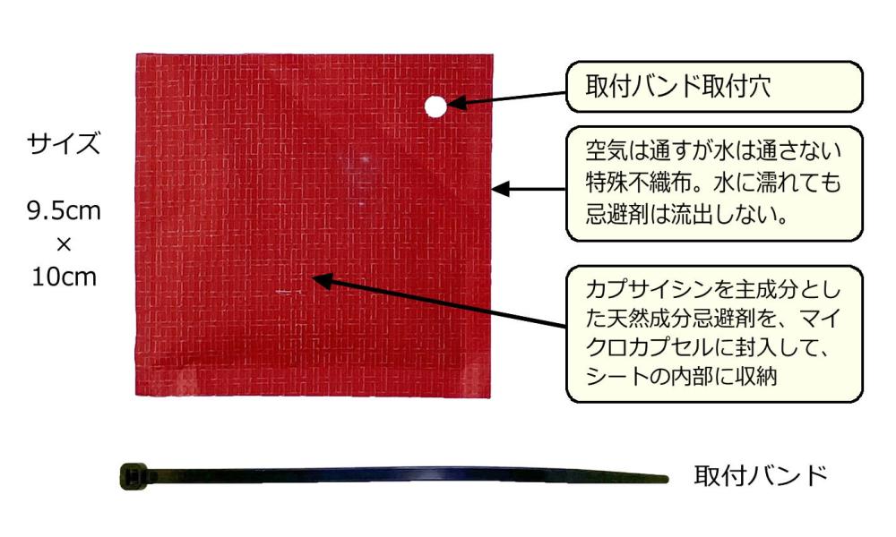 チュー在禁止　特徴図